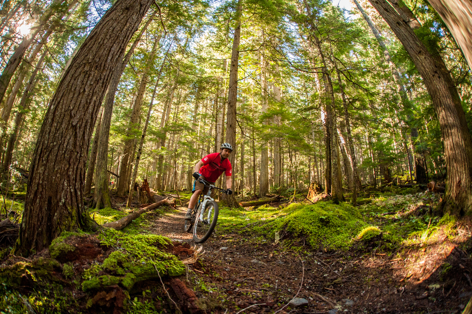 Silverstar Bike Park: Beowulf is Here