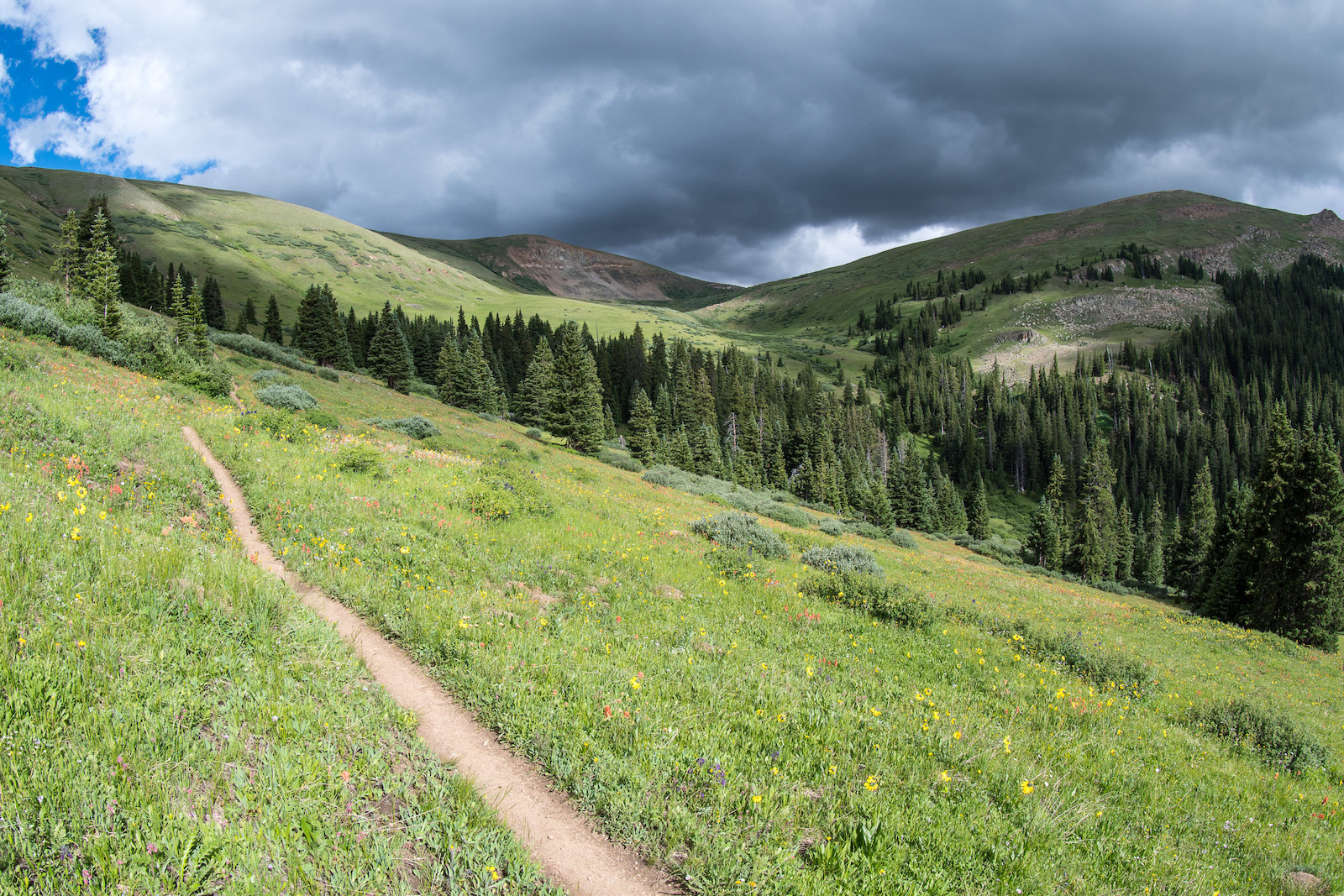 Colorado Trail Race - Recap and Results