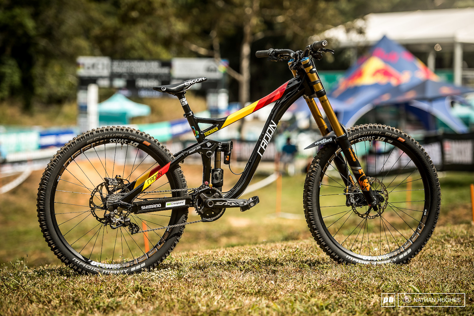 24 Custom Painted DH Bikes at Cairns World Champs 2017 - Pinkbike