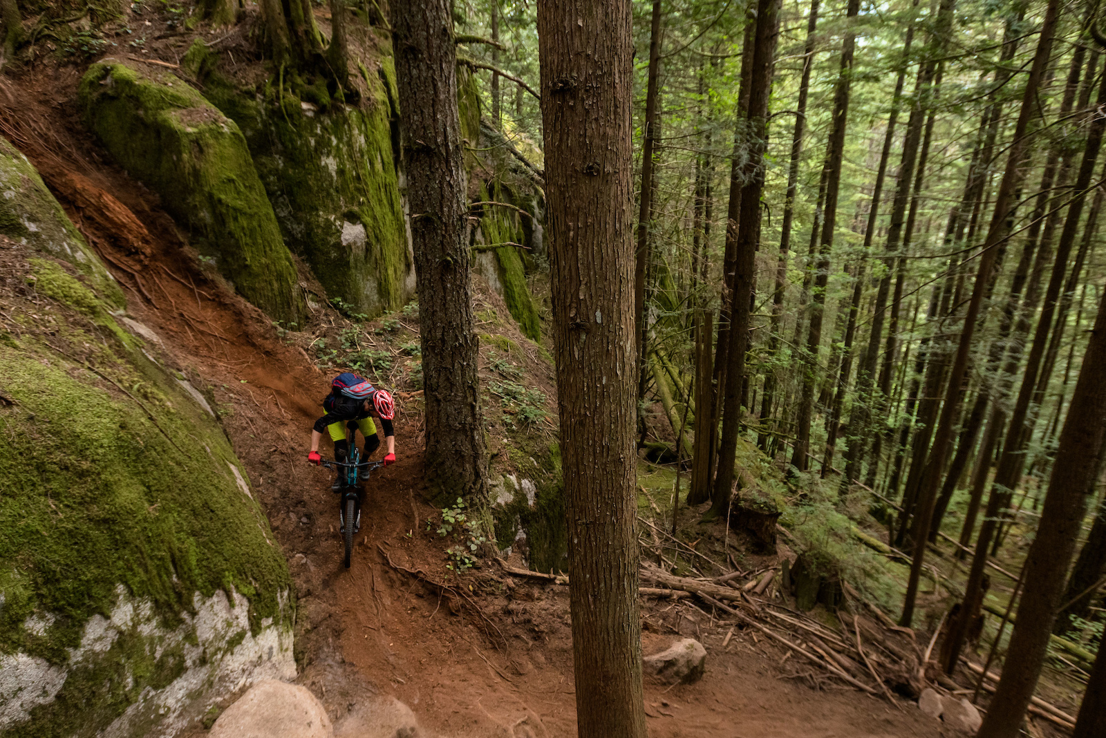 Hitchhiking B.C.'s Coastal Loop Tau of a Roadside Pickup Artist