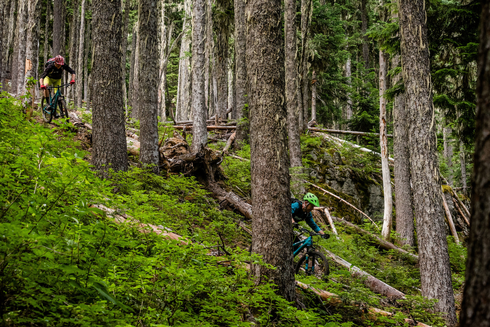 Hitchhiking B.C.'s Coastal Loop - Tau of a Roadside Pickup Artist ...