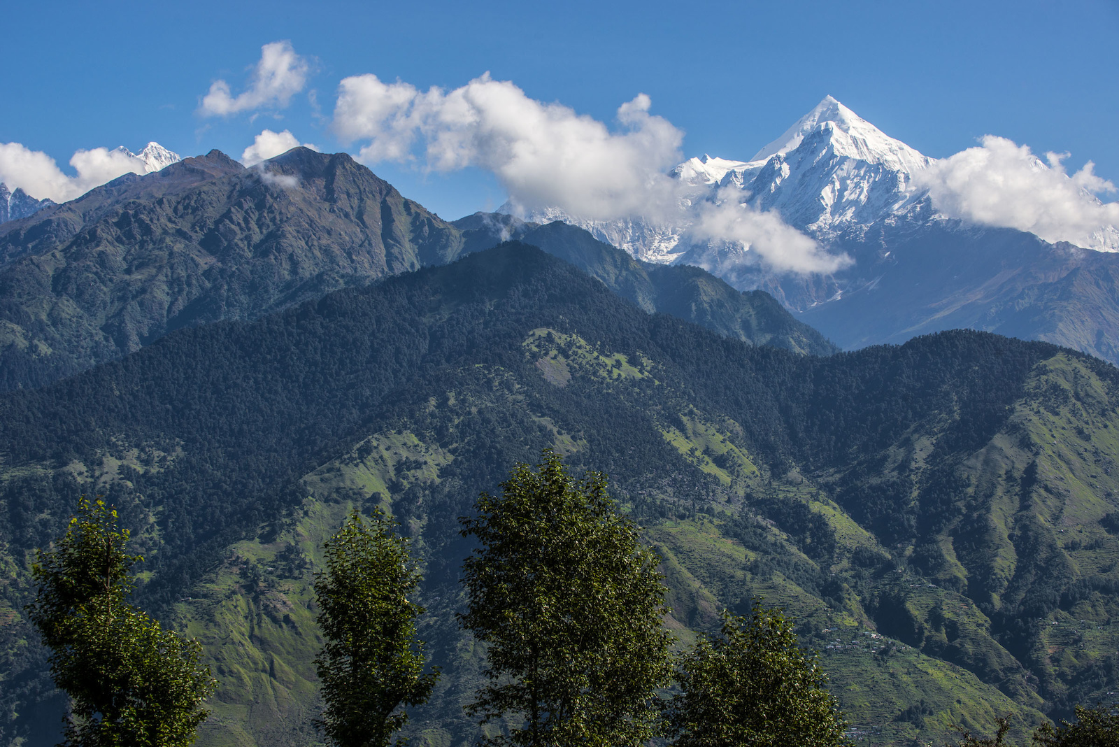 Munsyari Mountain Bike Survey, Uttarakhand, India.

PIC © Andy Lloyd
www.andylloyd.photography
