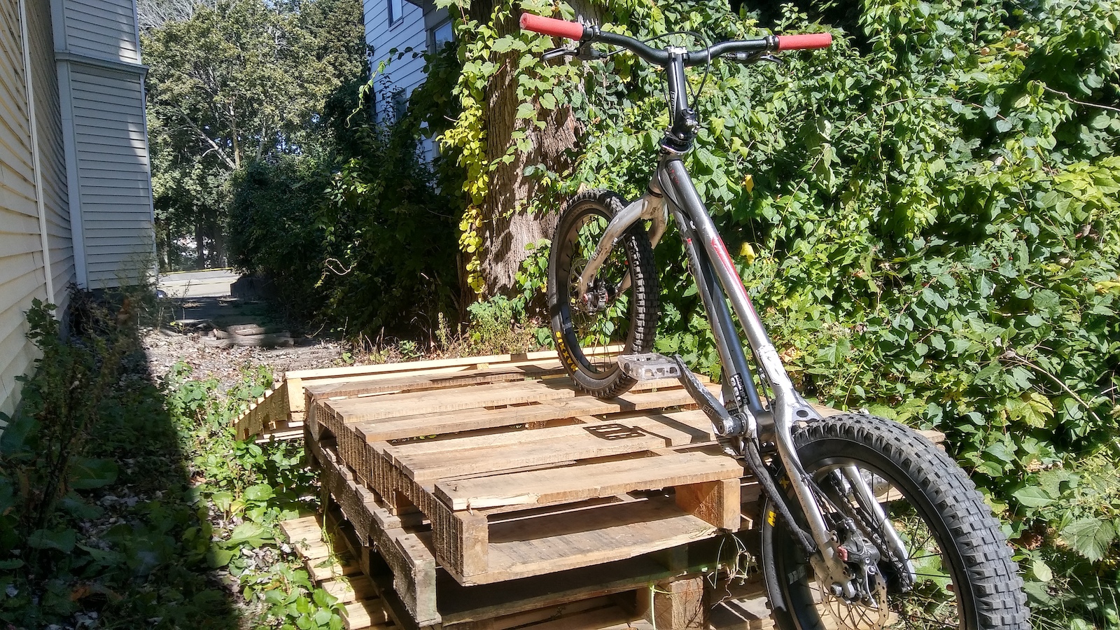 building some obstacles at lunch behind the bike shop...