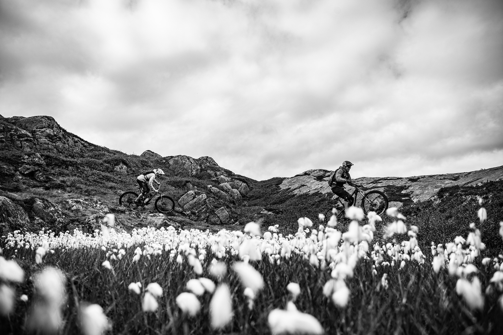 Andreas flows down the trail through the Alpine flowers of Norway, followed by one of the best Enduro riders in the world. Not a bad reward for creating a 1 minute video eh?