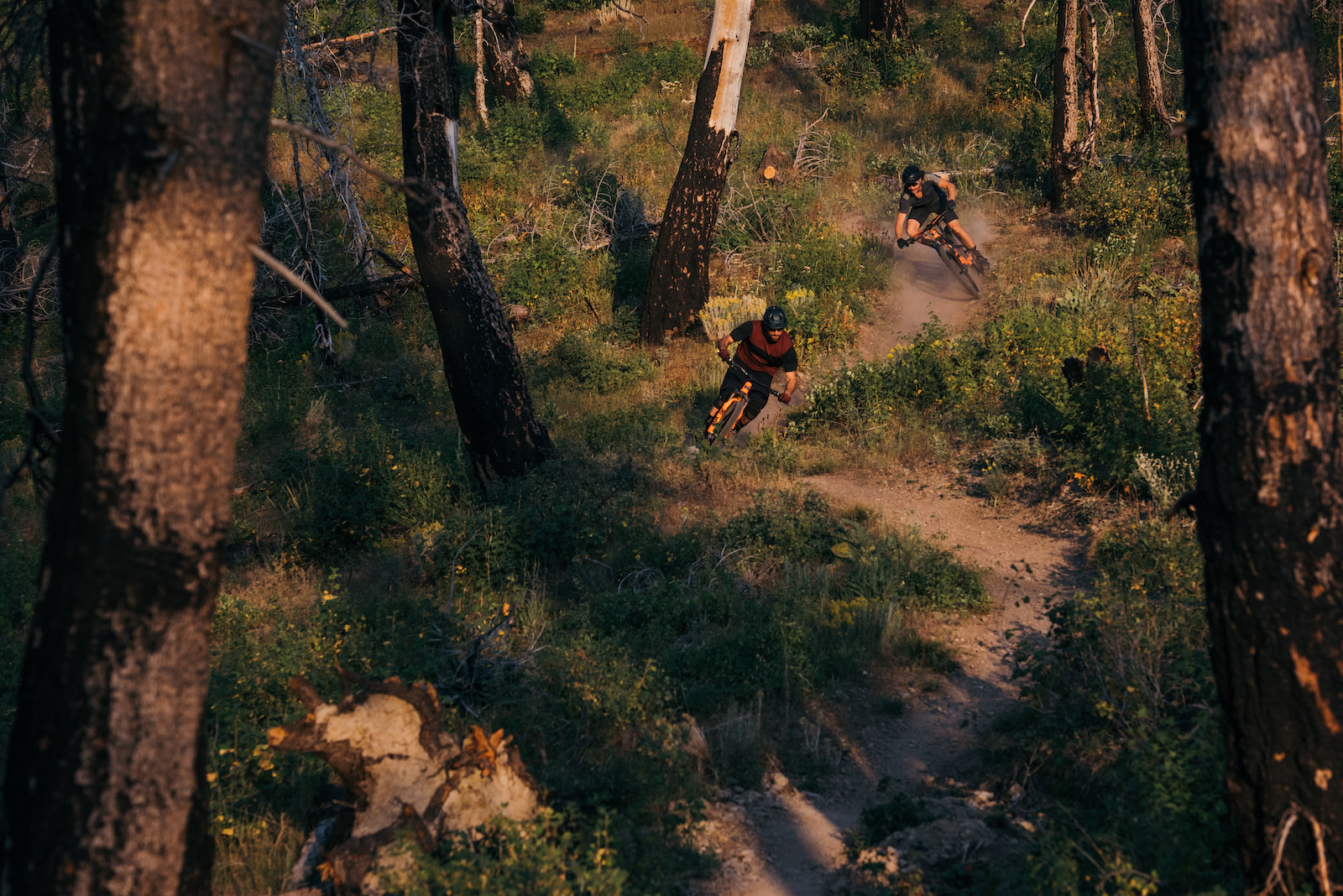 In the Valley of the Sun with Thomas Vanderham &amp; Sam Schultz.
Photo: Margus Riga