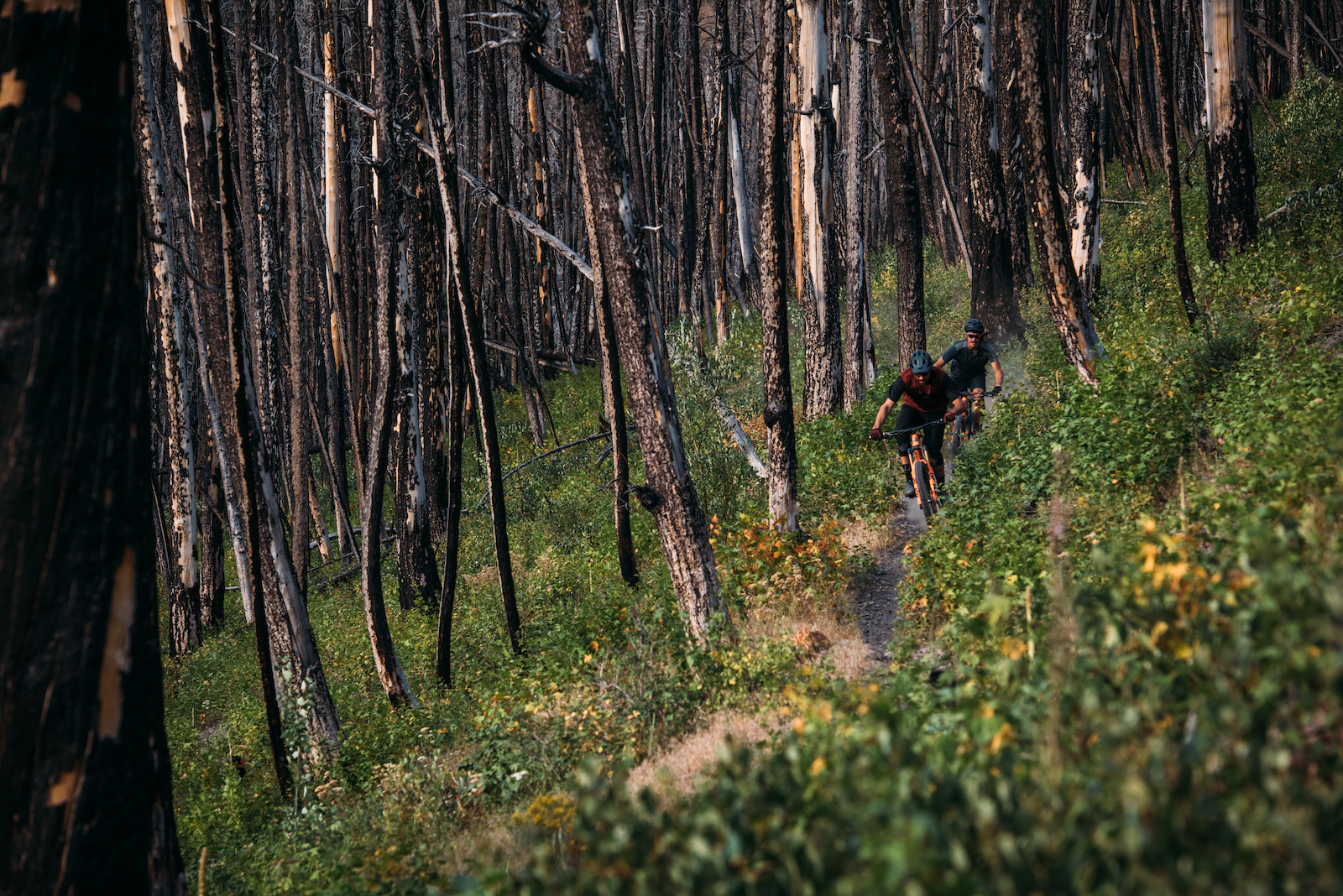 In the Valley of the Sun with Thomas Vanderham &amp; Sam Schultz. Photo: Margus Riga