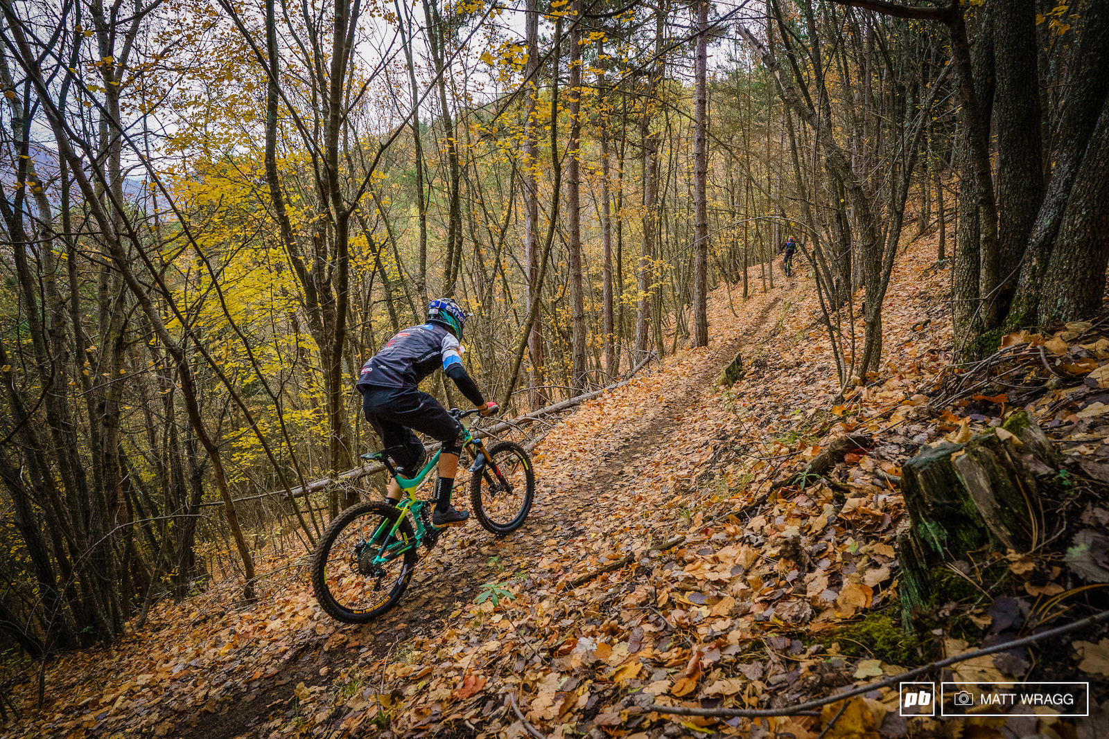 Rain storms at the start of the week knocked much of the foliage from the trees making for a perfect orange carpet to race across.