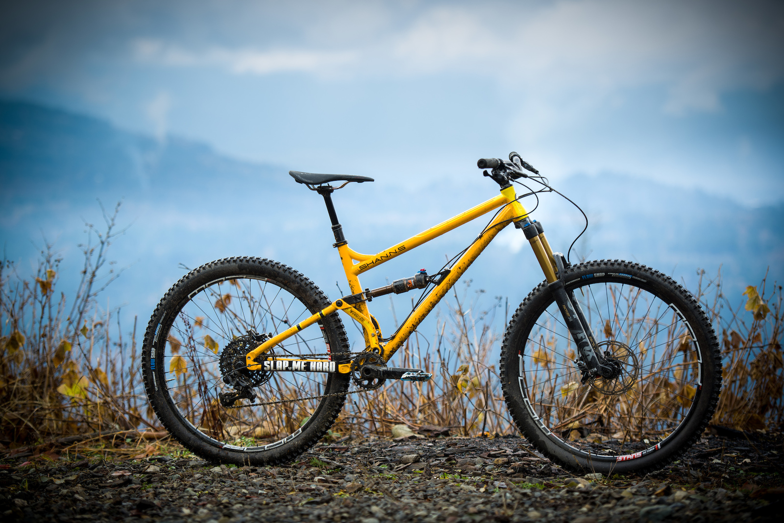 Production Privée's Steel-Framed Shan N°5 - Review - Pinkbike