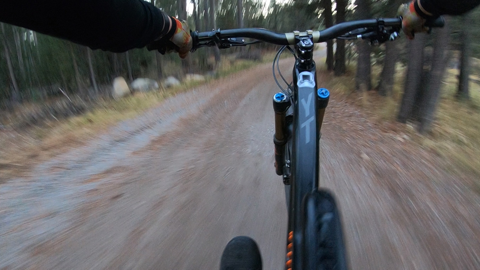 Warp speed manual