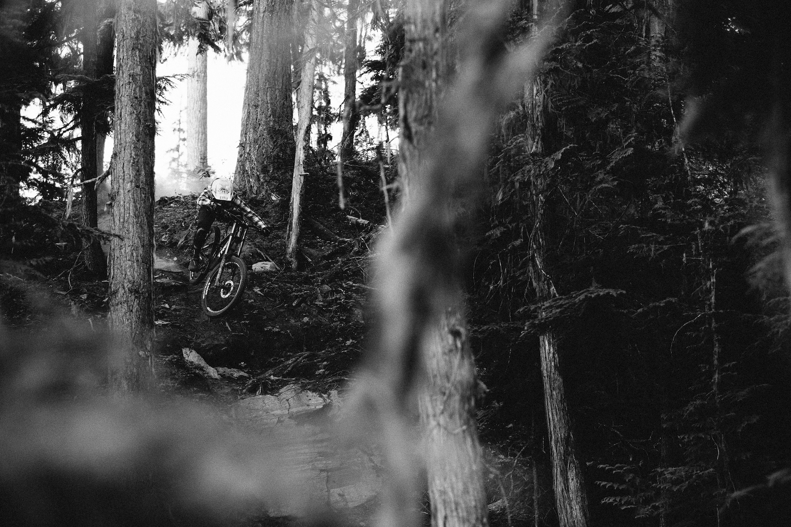 Casey Brown - This Is Home Photos