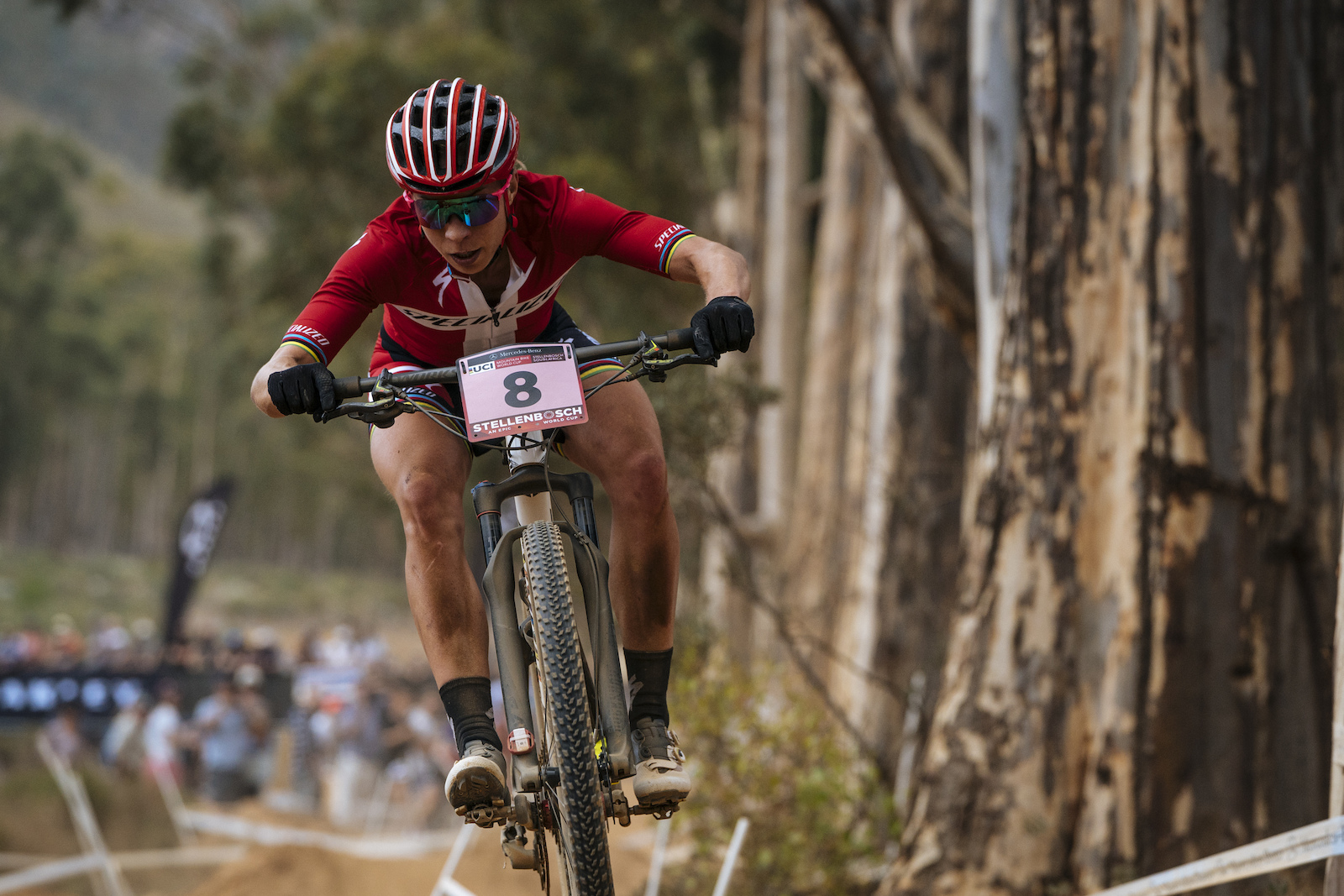 Stellenbosch XCO