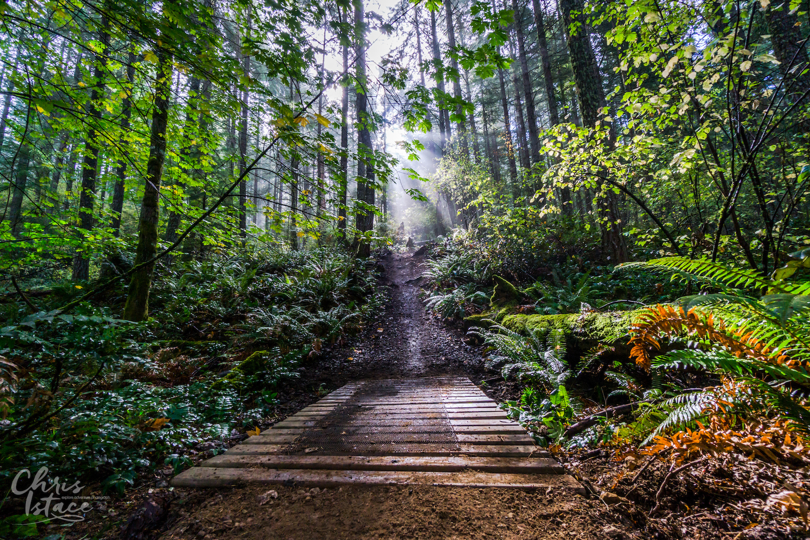 Trail Build day with the Cowichan Trail Stewardship Society on DoubleD, Mount Tzouhalem in the Cowichan Valley. Fall 2016