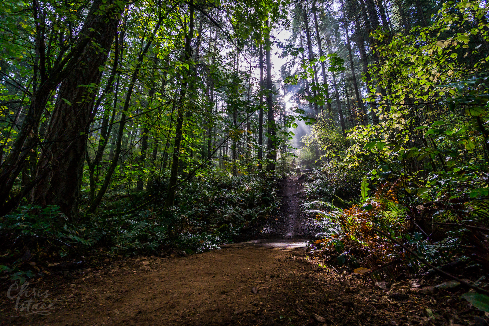 Trail Build day with the Cowichan Trail Stewardship Society on DoubleD, Mount Tzouhalem in the Cowichan Valley. Fall 2016