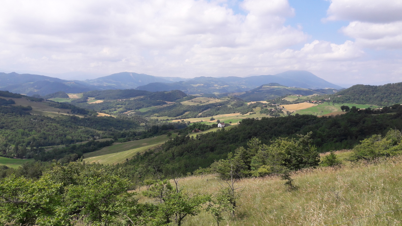 Vista