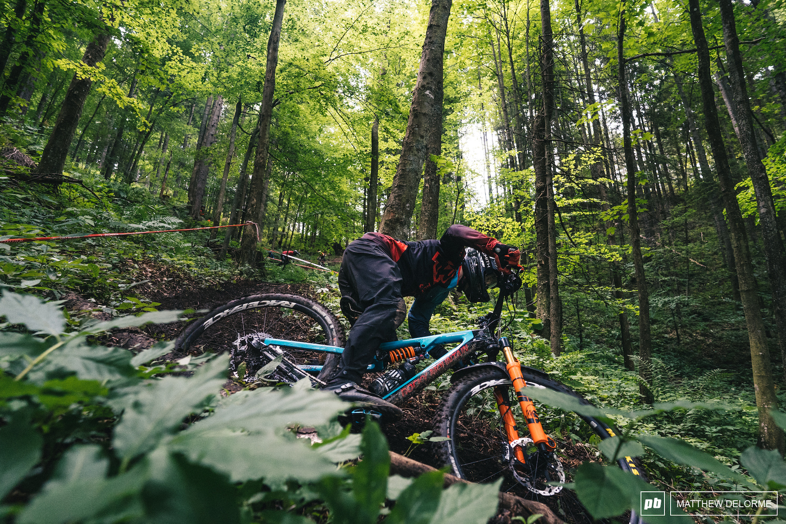 Remi leans it in the loam.