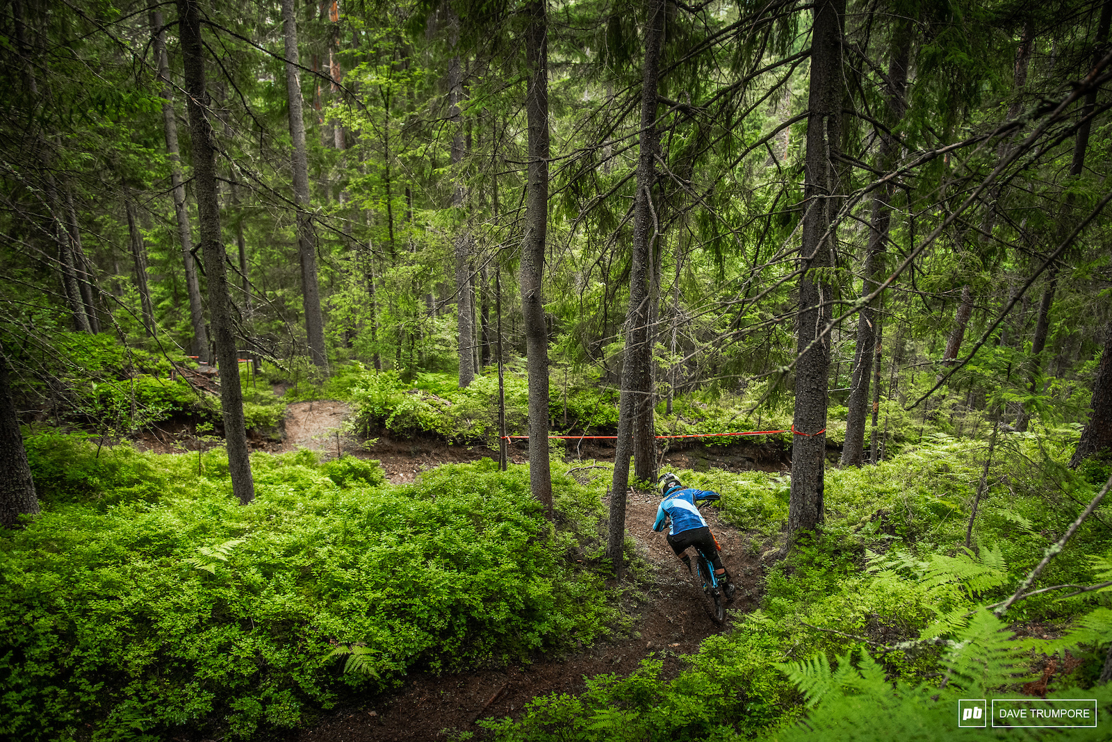 Noga Korem weaves through the lush green forest that makes up much of Stage 1.