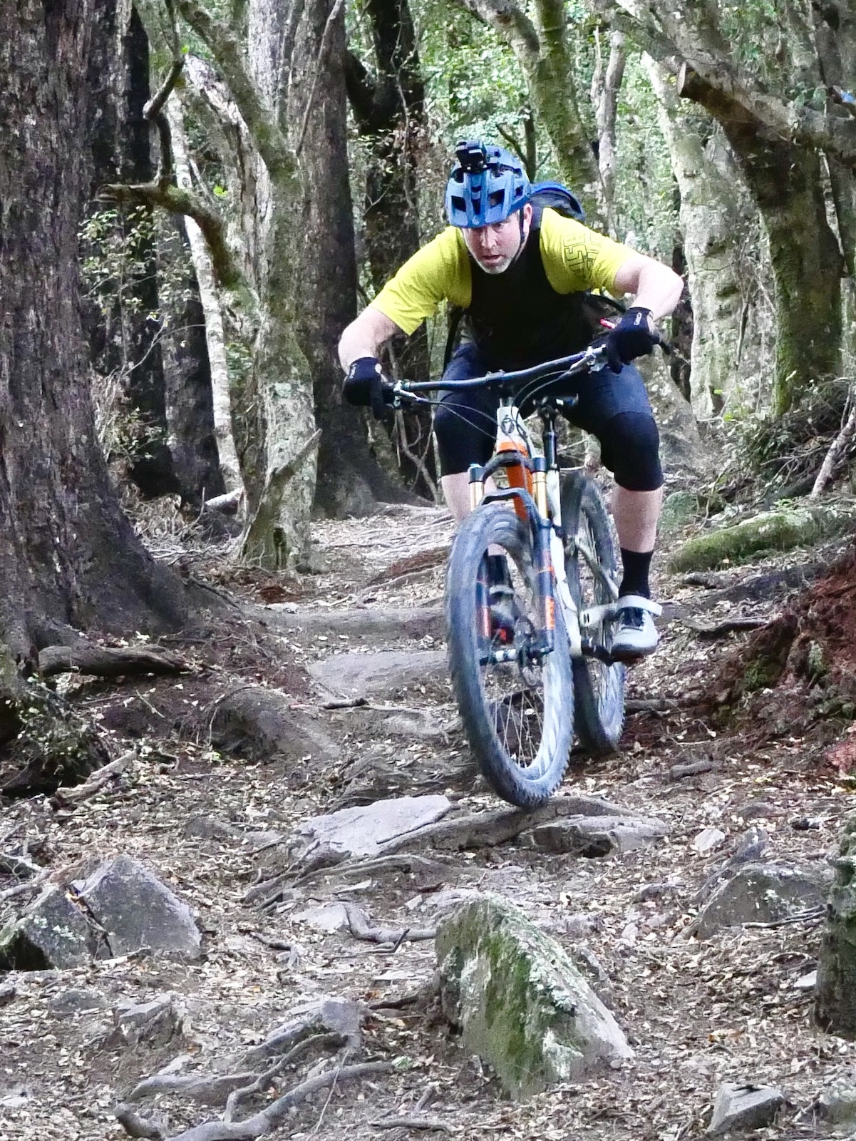 Ripping down the hand built techy goodness that is Te Ara Koa