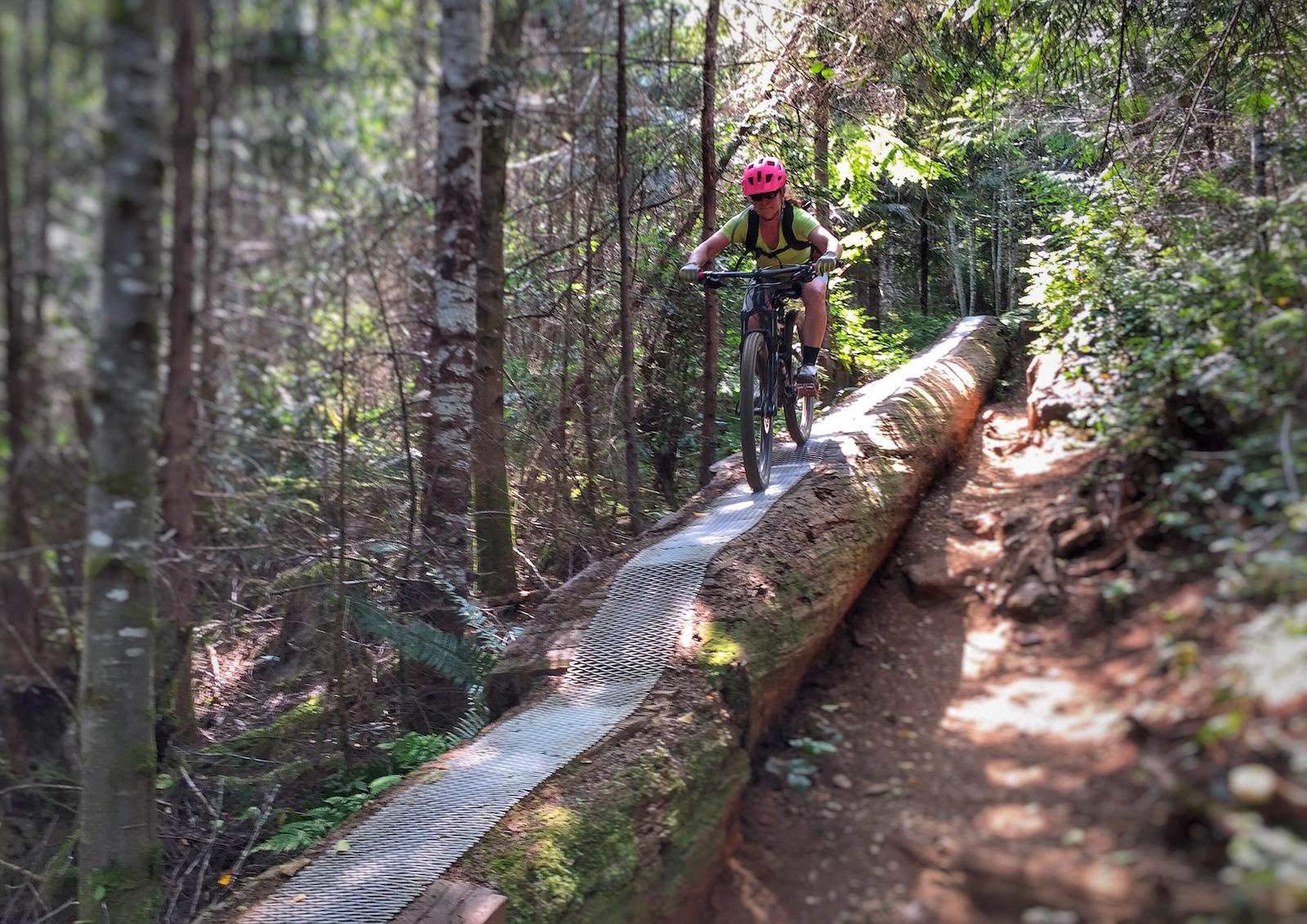 Biker riding over log in cumberland