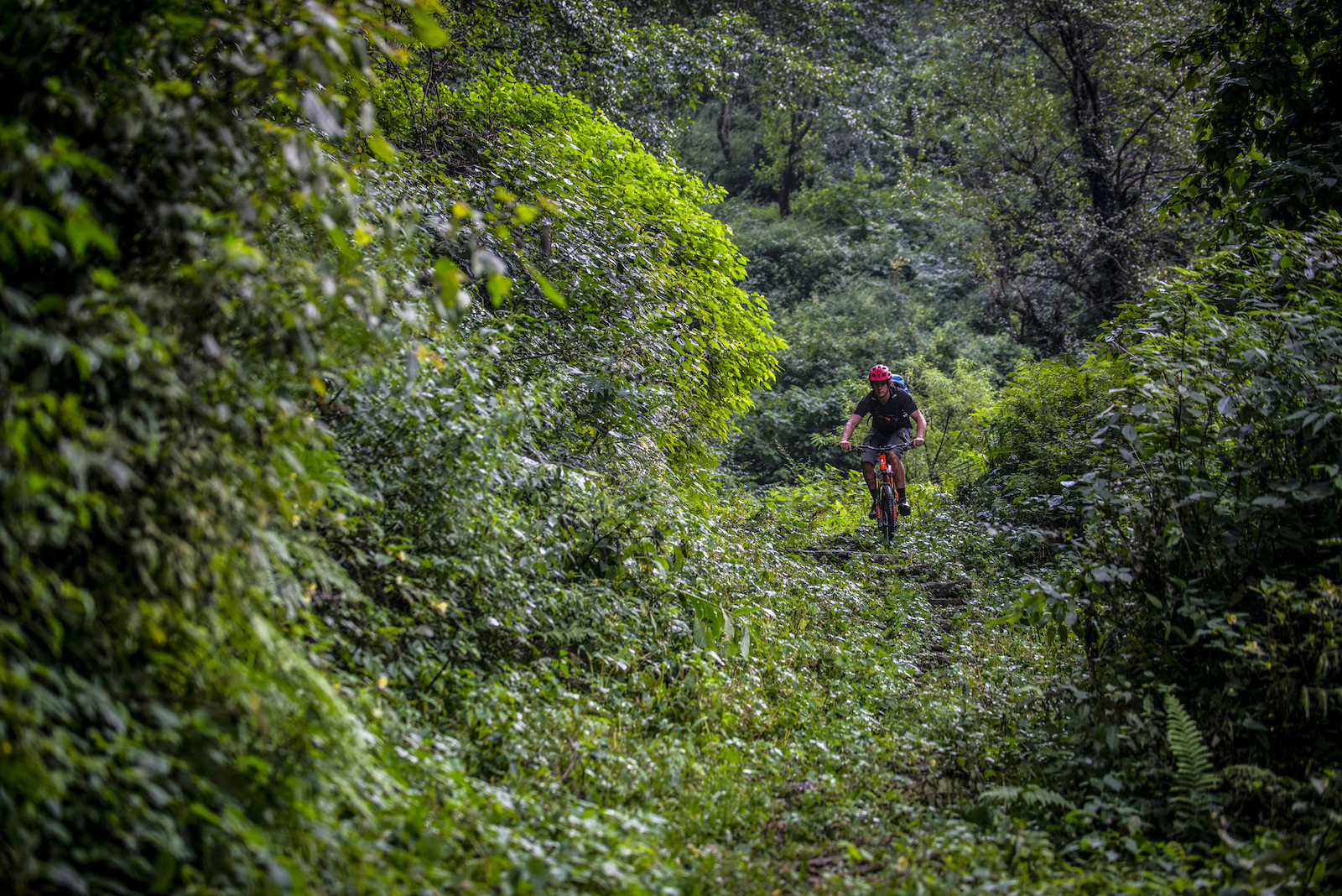 Munsyari Mountain Bike Survey PIC Andy Lloyd www.andylloyd.photography