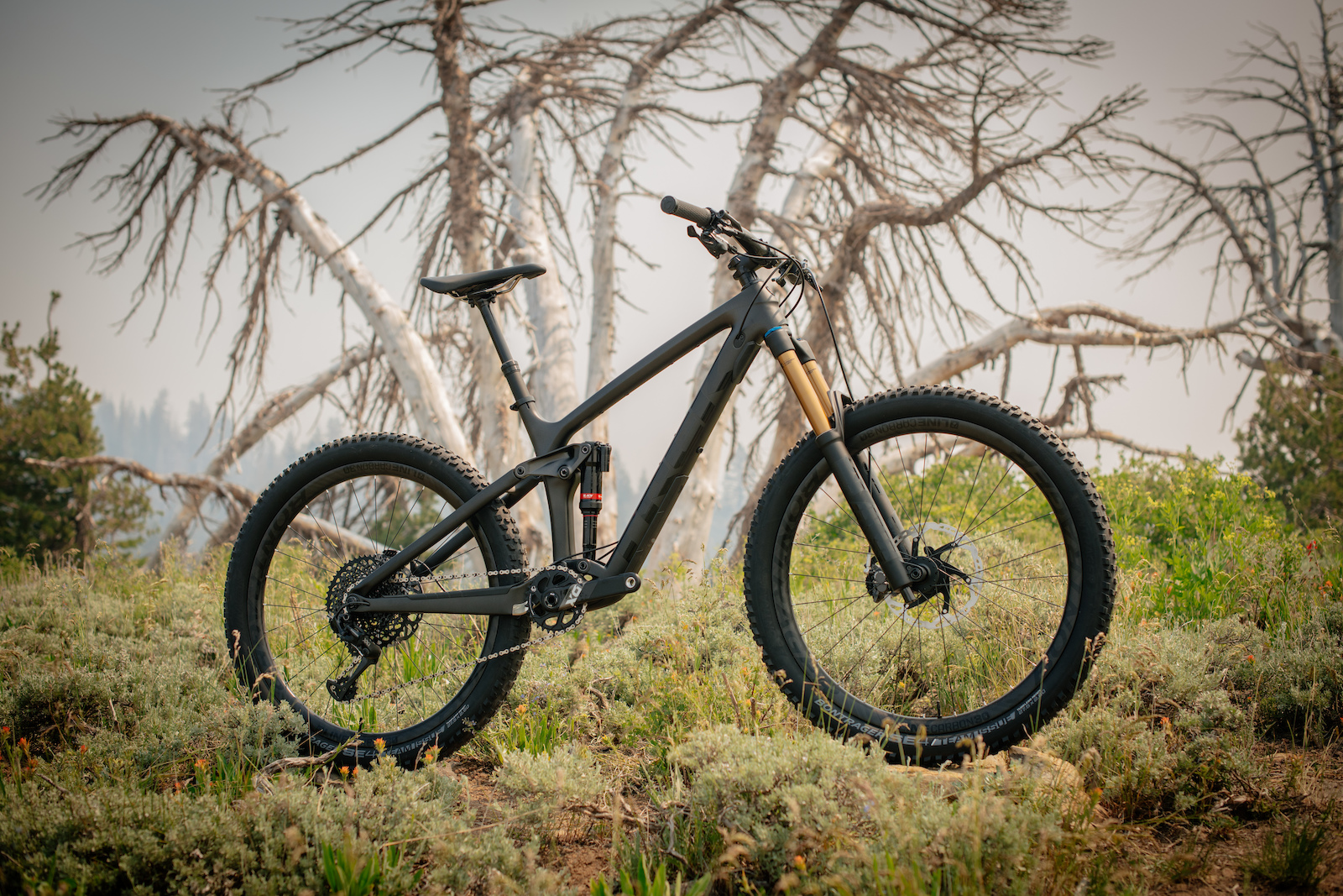 Trek on sale remedy pinkbike