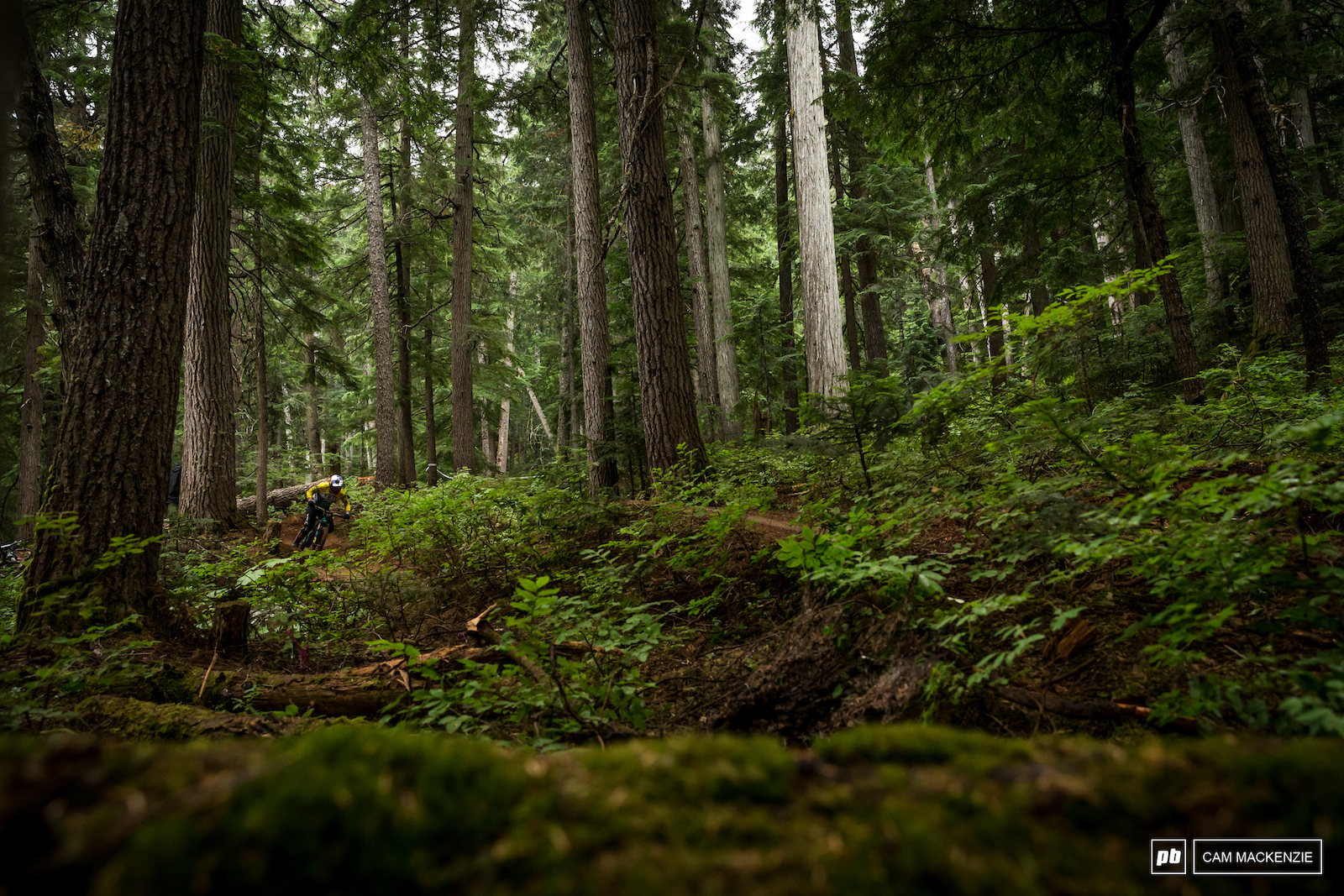Richie Rude on the charge through the physical mid section of Delayed Fuse. This trail will offer good chances to make up time to those more physically apt.