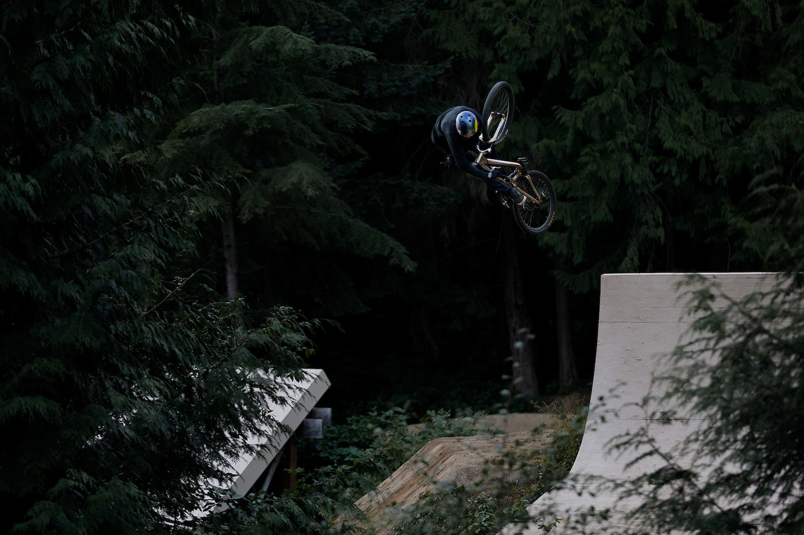 brandon semenuk etnies shoes