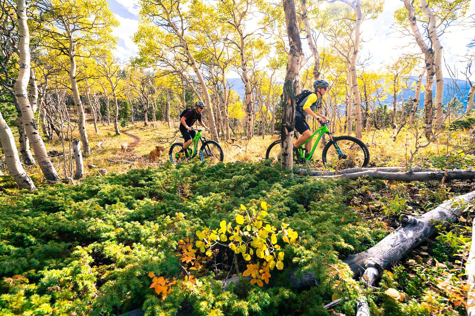 Jen Crew and Brad Cole riding near Pennock Pass in perfect fall weather. While the riding in Fort Collins itself is a little bit limited there is a lot of amazing trail within an hour or two.