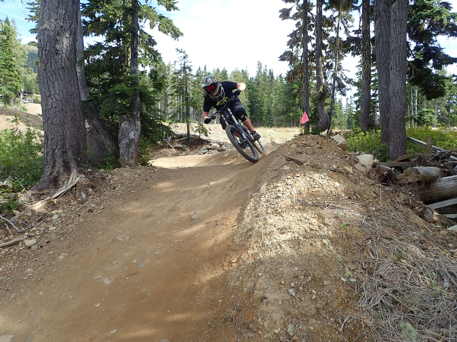 A mountain biker launching off a dirt jump with old-growth conifers surrounding the trail.