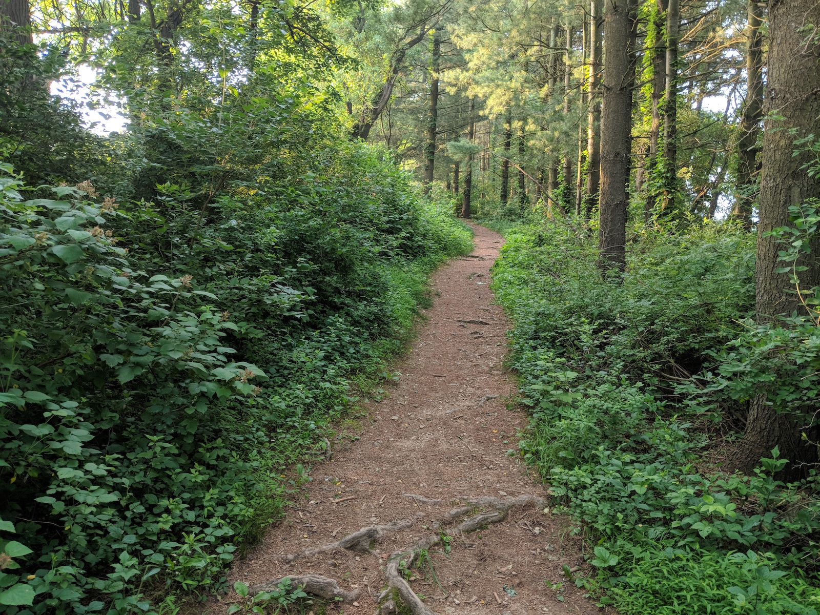 Short climb in Hashawha