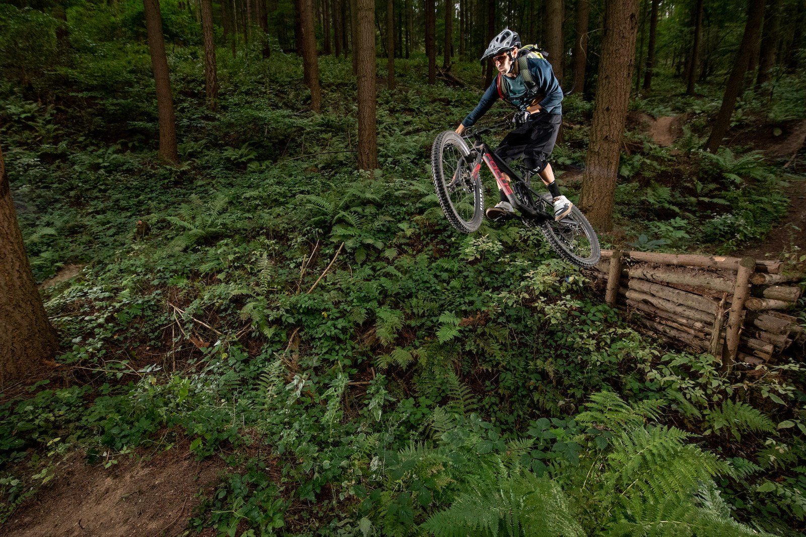 Focus SAM Photo Christoph Laue