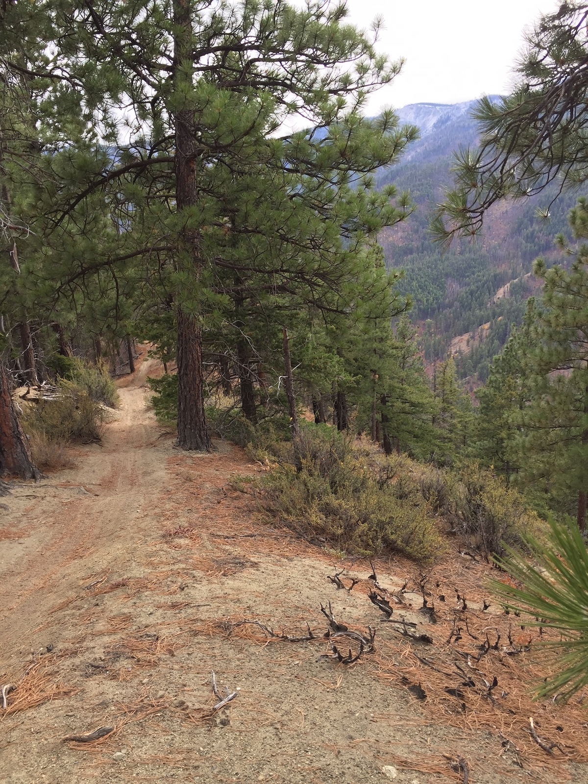 Sunday 10 7 '18 conditions on the trail very good.