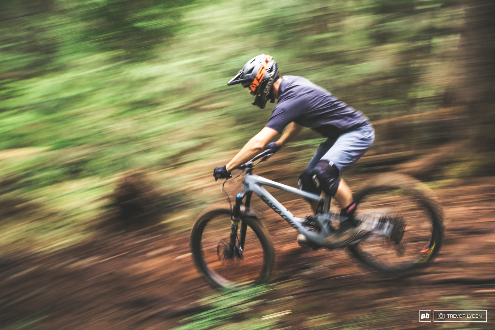 Santa Cruz Bronson