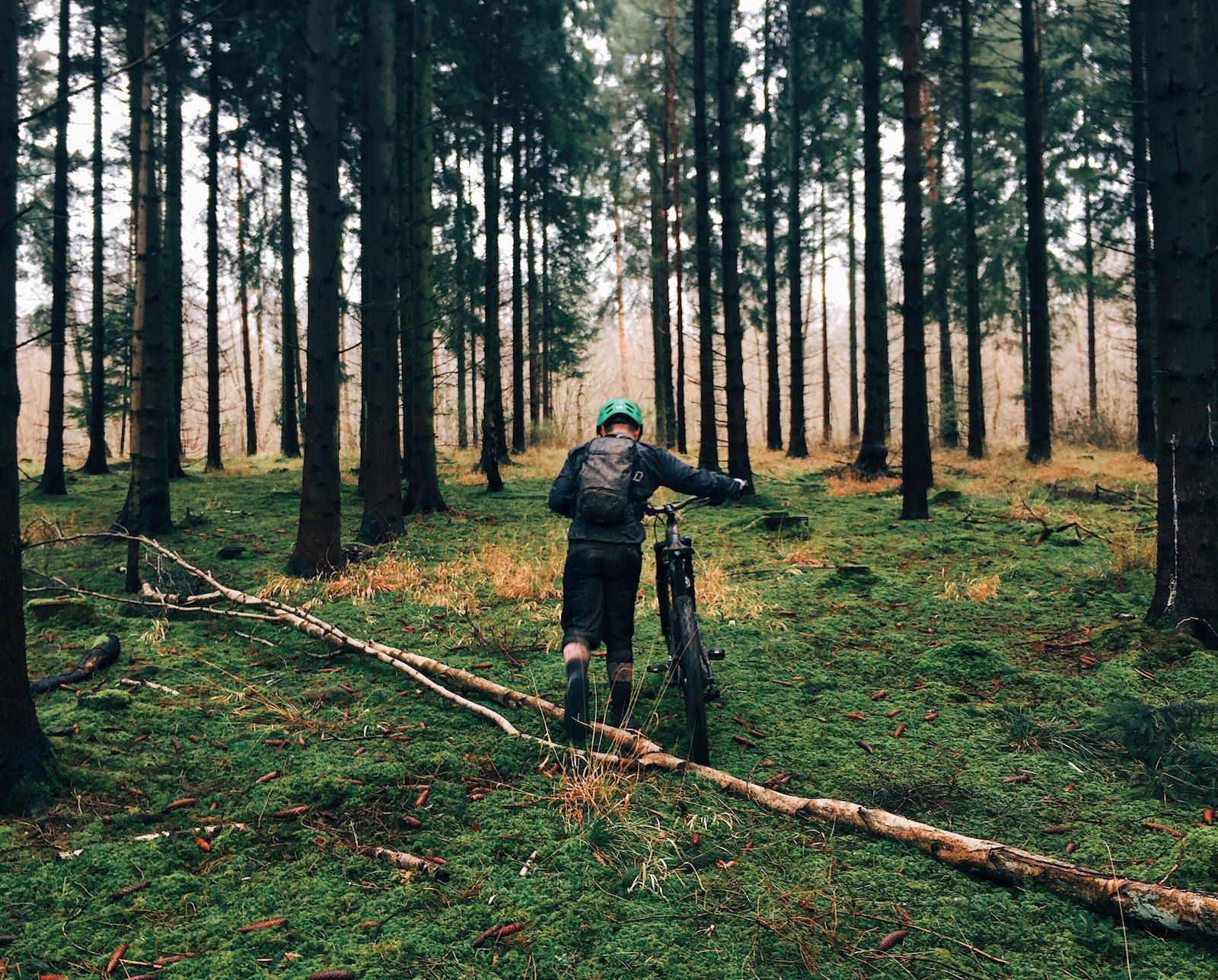 Processed with VSCO with e3 preset