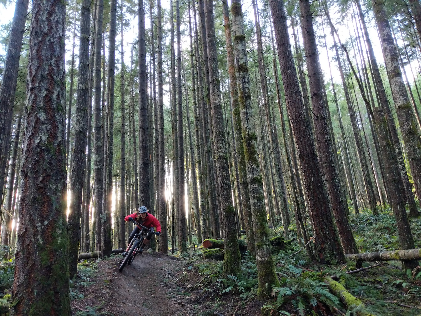 Mountain Bike Rider riding Max power in nanaimo