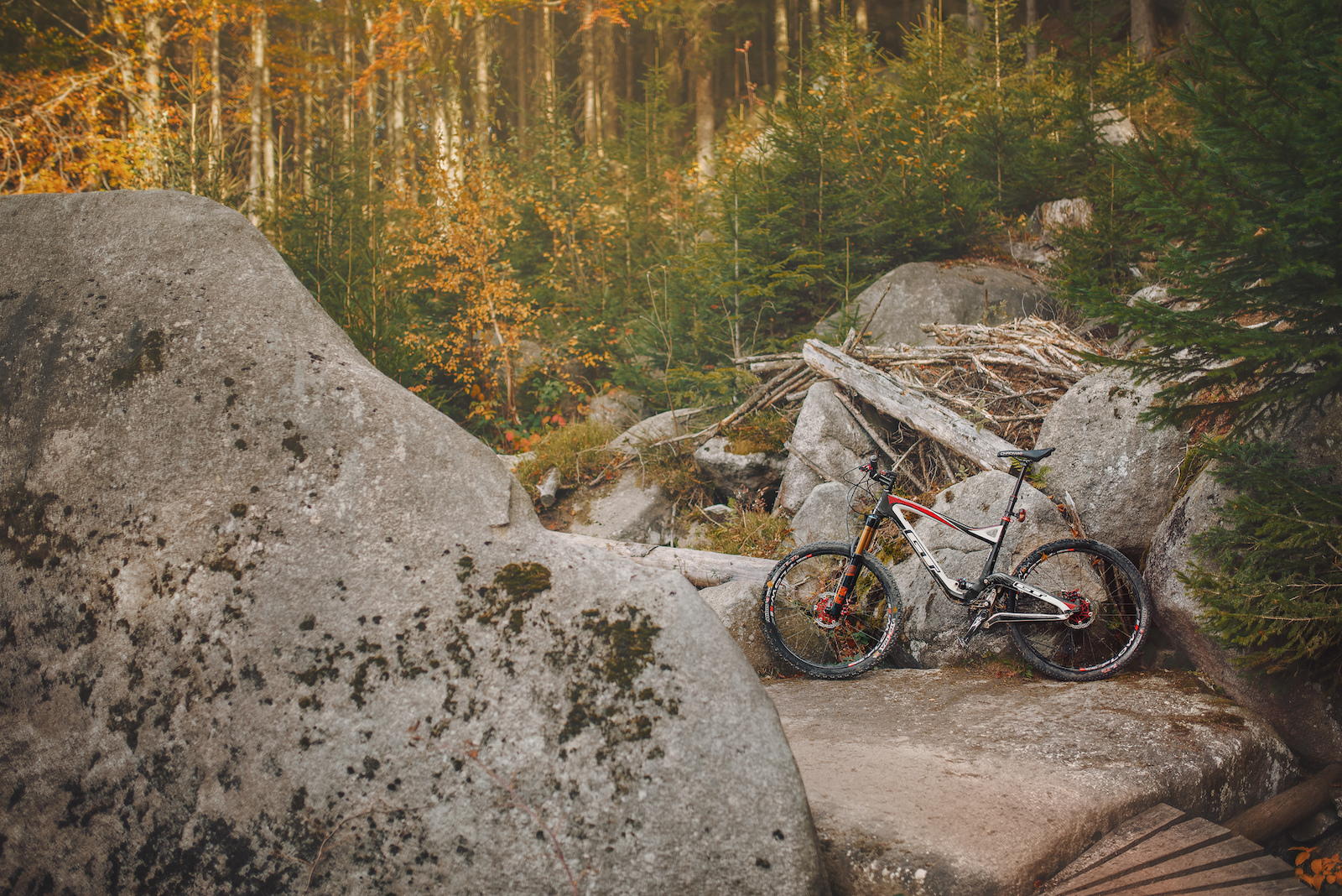GT Sensor Carbon Expert 2014 custom built
Trail Dr. Wiessnera, Rychlebské stezky