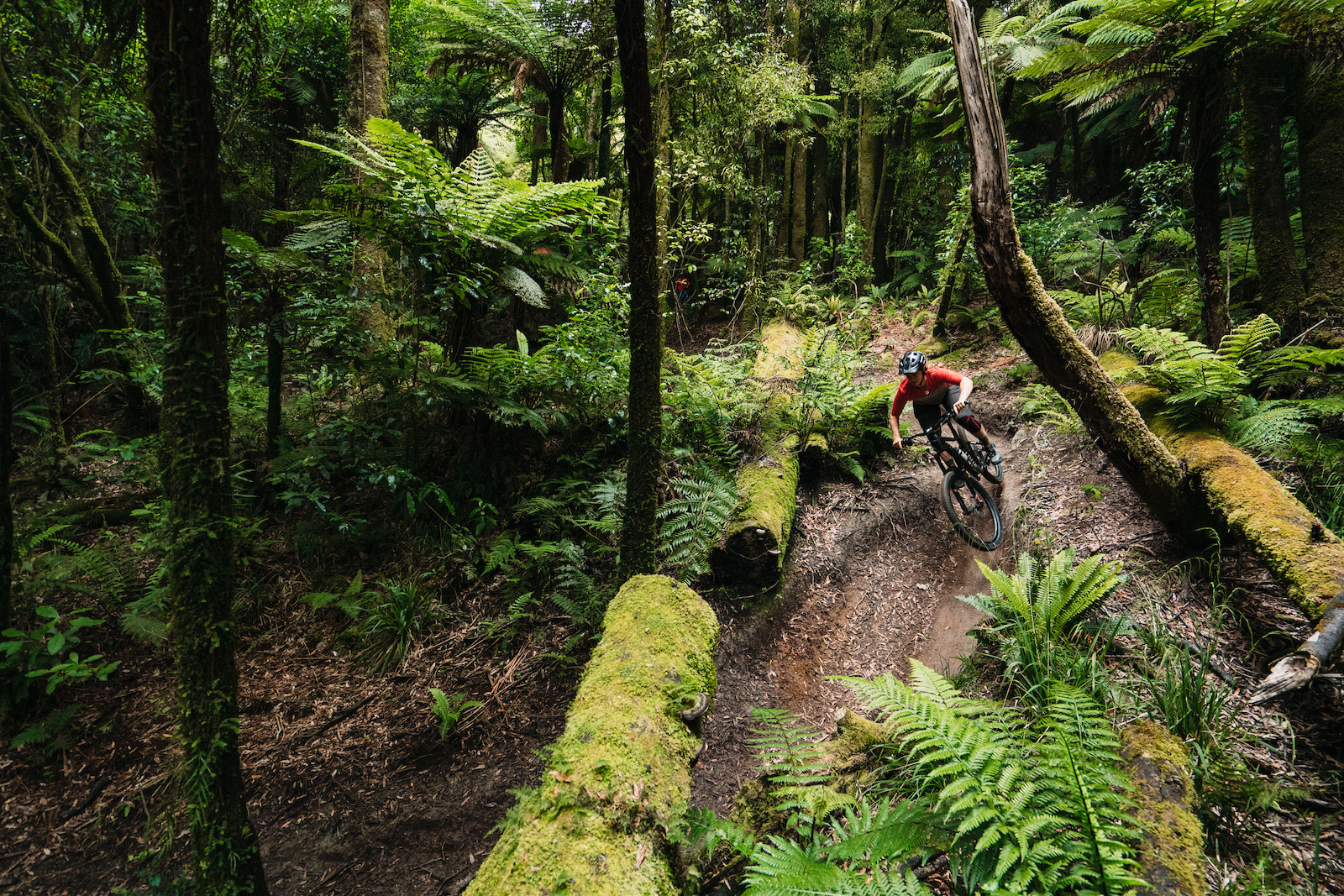 Destination Showcase: Rotorua, New Zealand - Pinkbike