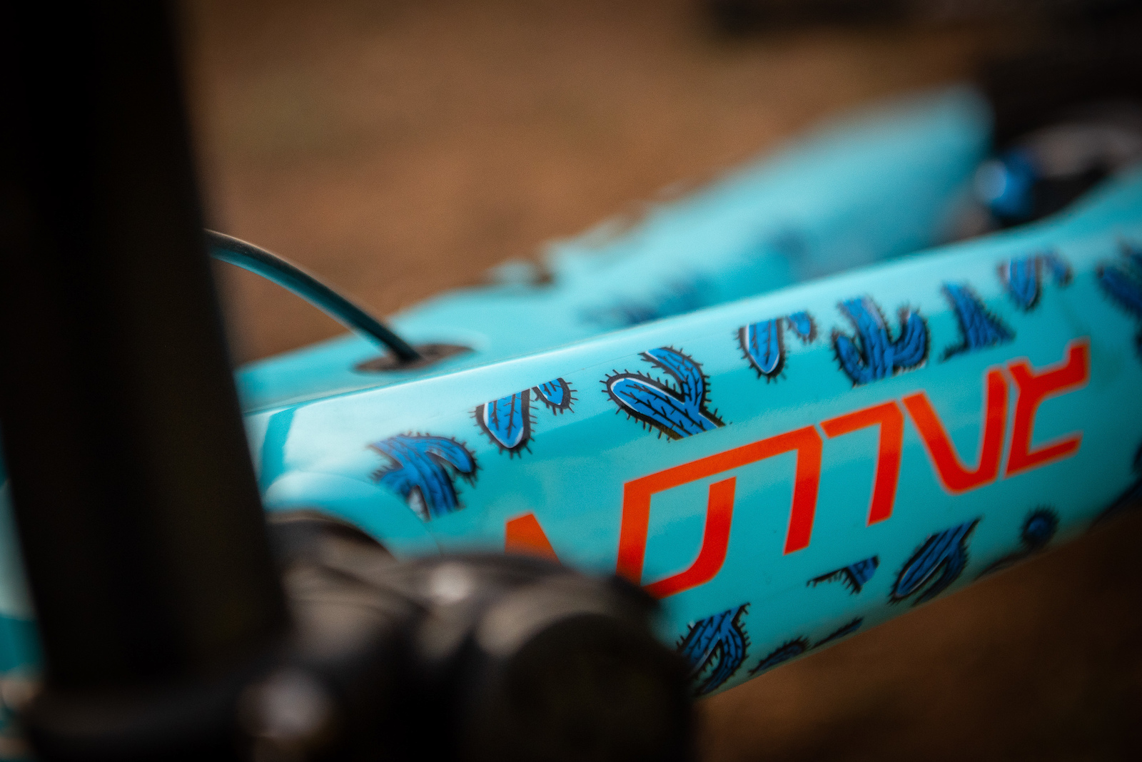 Custom top tube decals seem to be the new in thing this year.