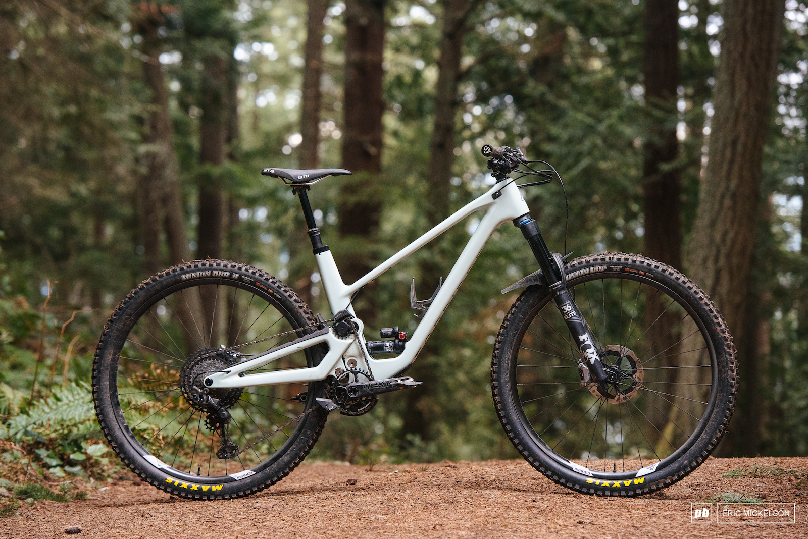 2019 trail bike of best sale the year