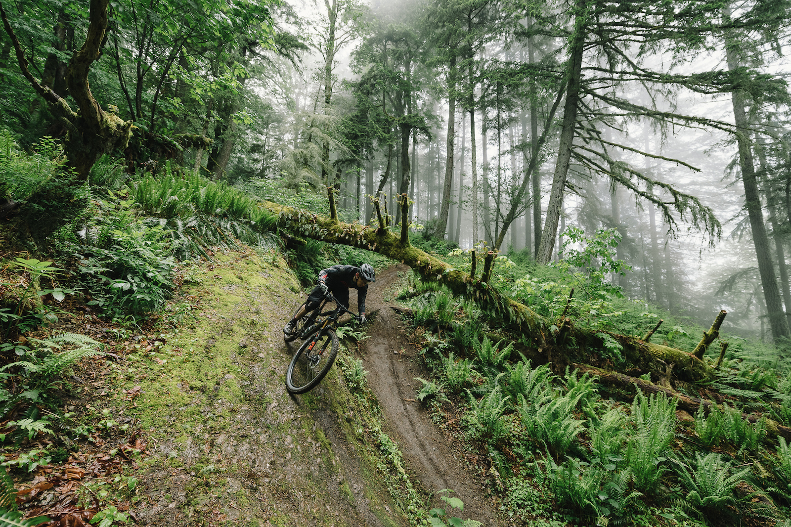 First Ride: Shimano's Back in the Game With New XT and SLX 12-Speed Groups  - Pinkbike