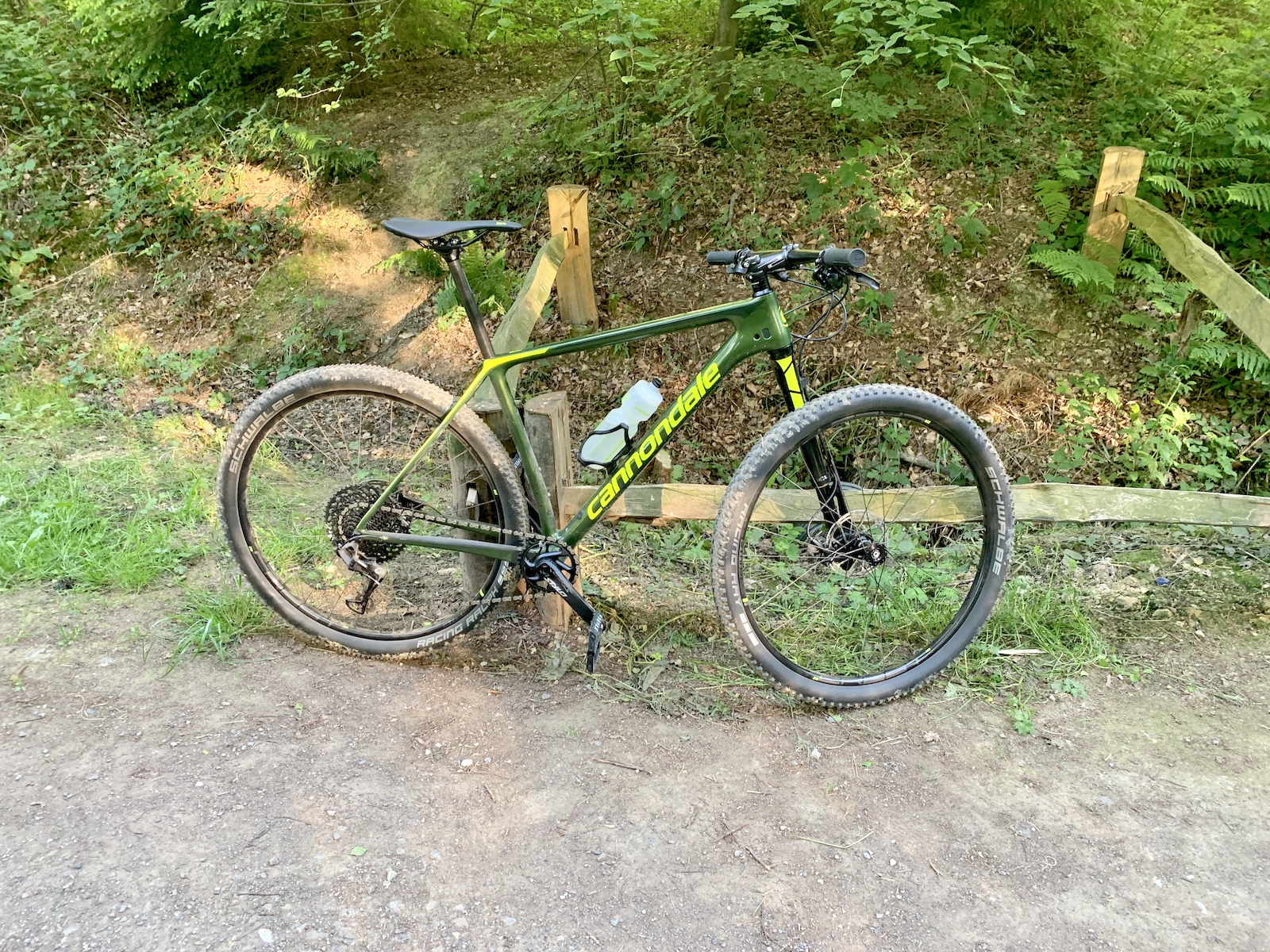 A gravel bike leaning against wooden trail markers in a forest setting.