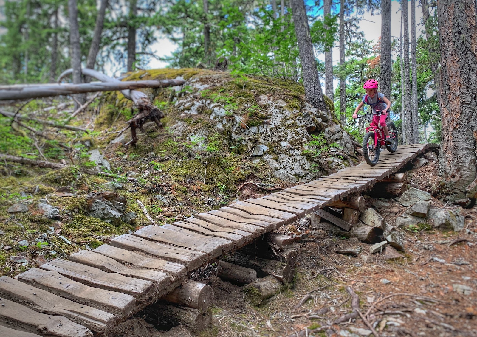 A rider on a pink mountain bike crossing a wooden boardwalk through a rocky, mossy forest.