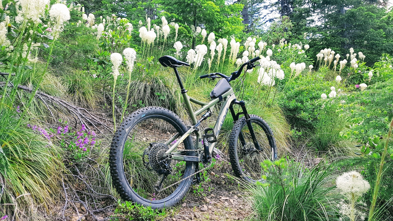 Couldnt resist a #bikeporn shot