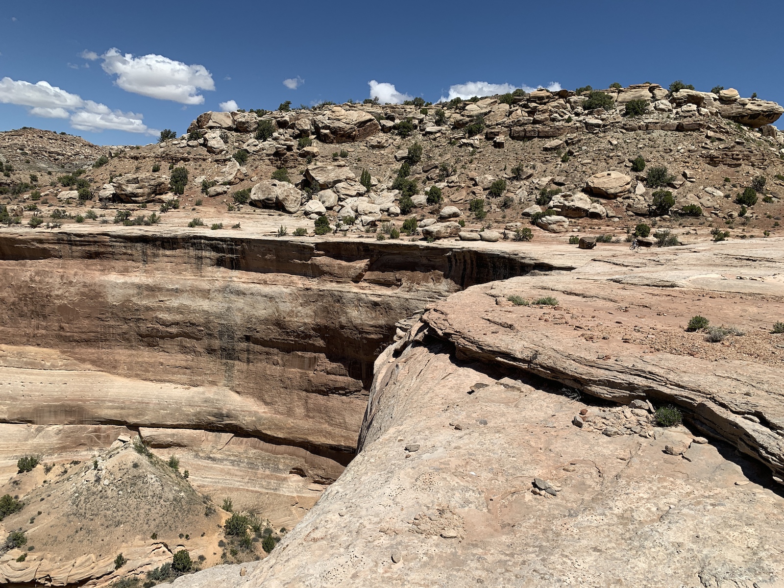 Western Rim