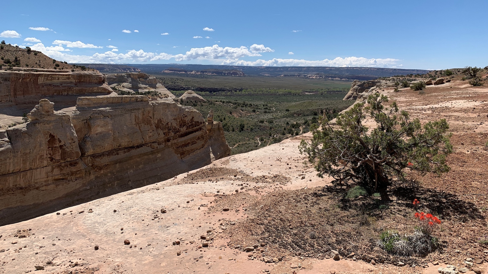 Western Rim