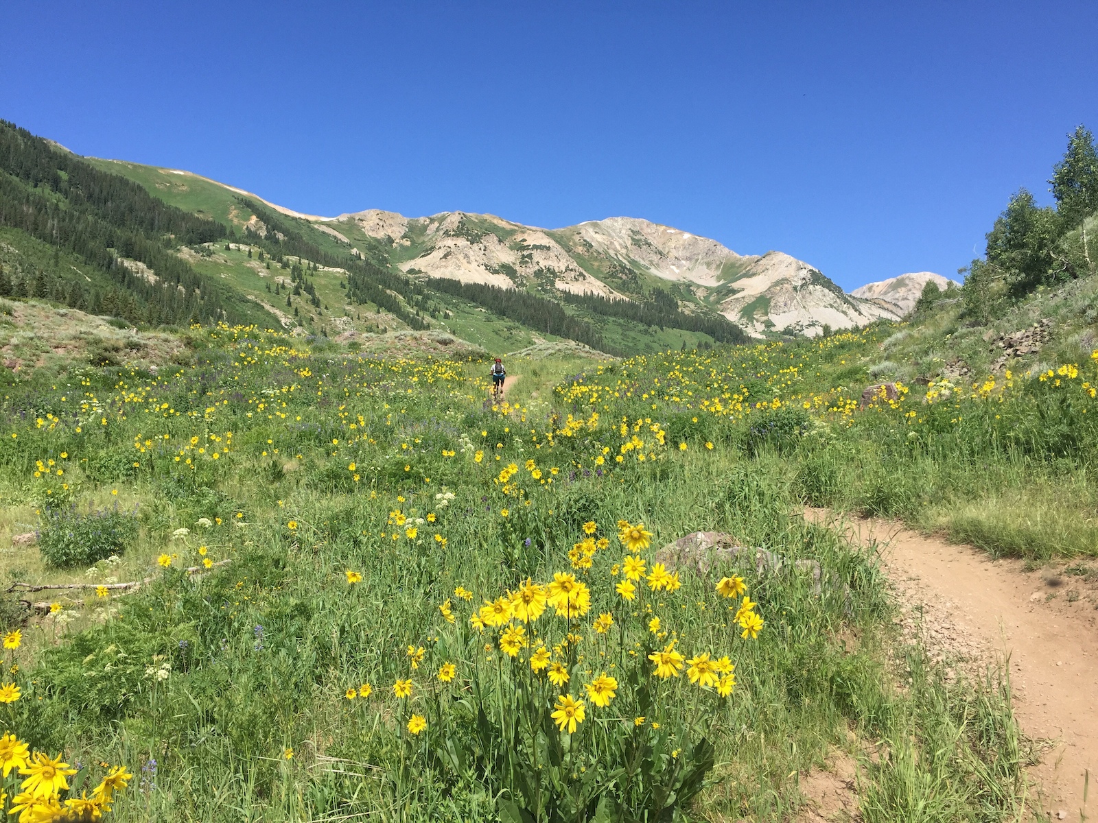 Teocalli Ridge Loop