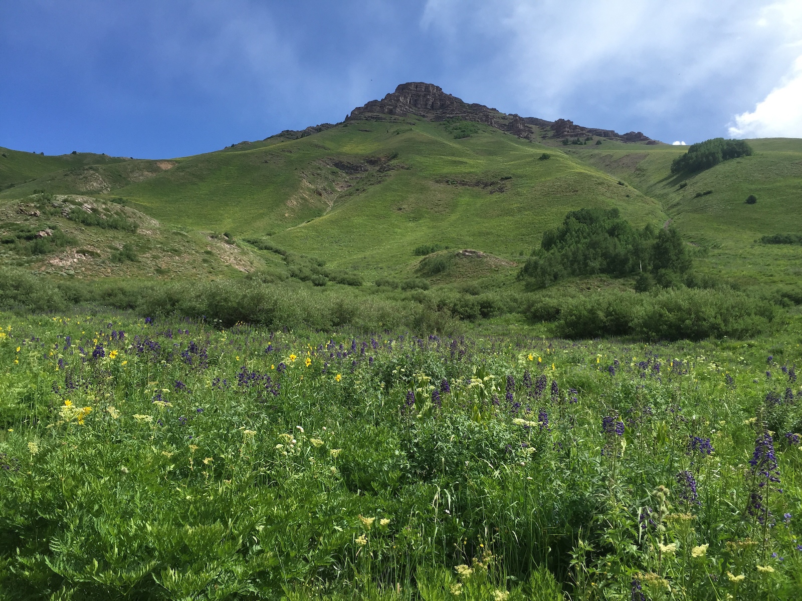 Teocalli Ridge Loop