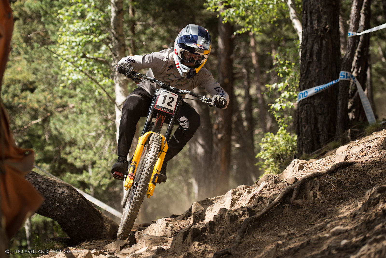 schwinn 3 wheel bike sam's club