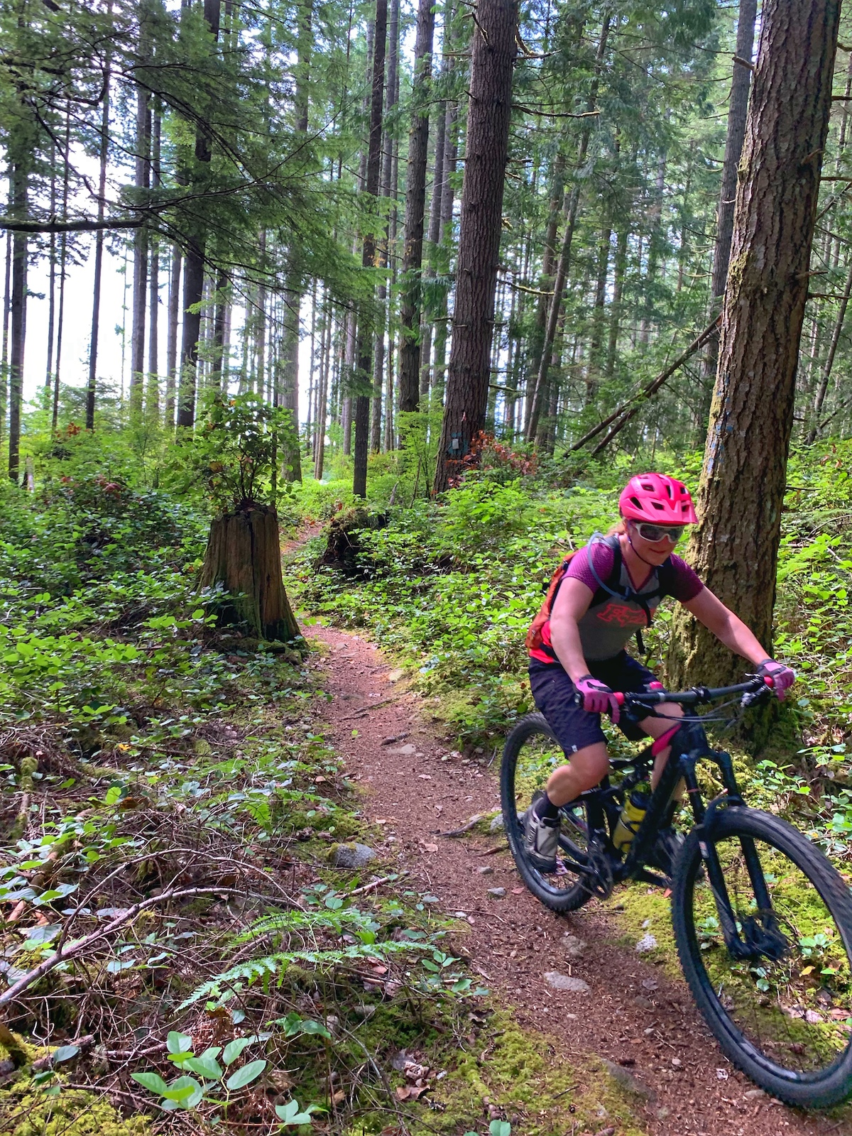 A mountain biker in pink helmet rides on a loamy trail through a dense green forest.