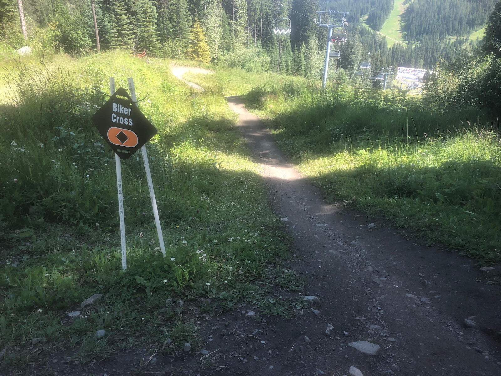 A dirt trail through a forested meadow with a "Biker Cross" trail sign.