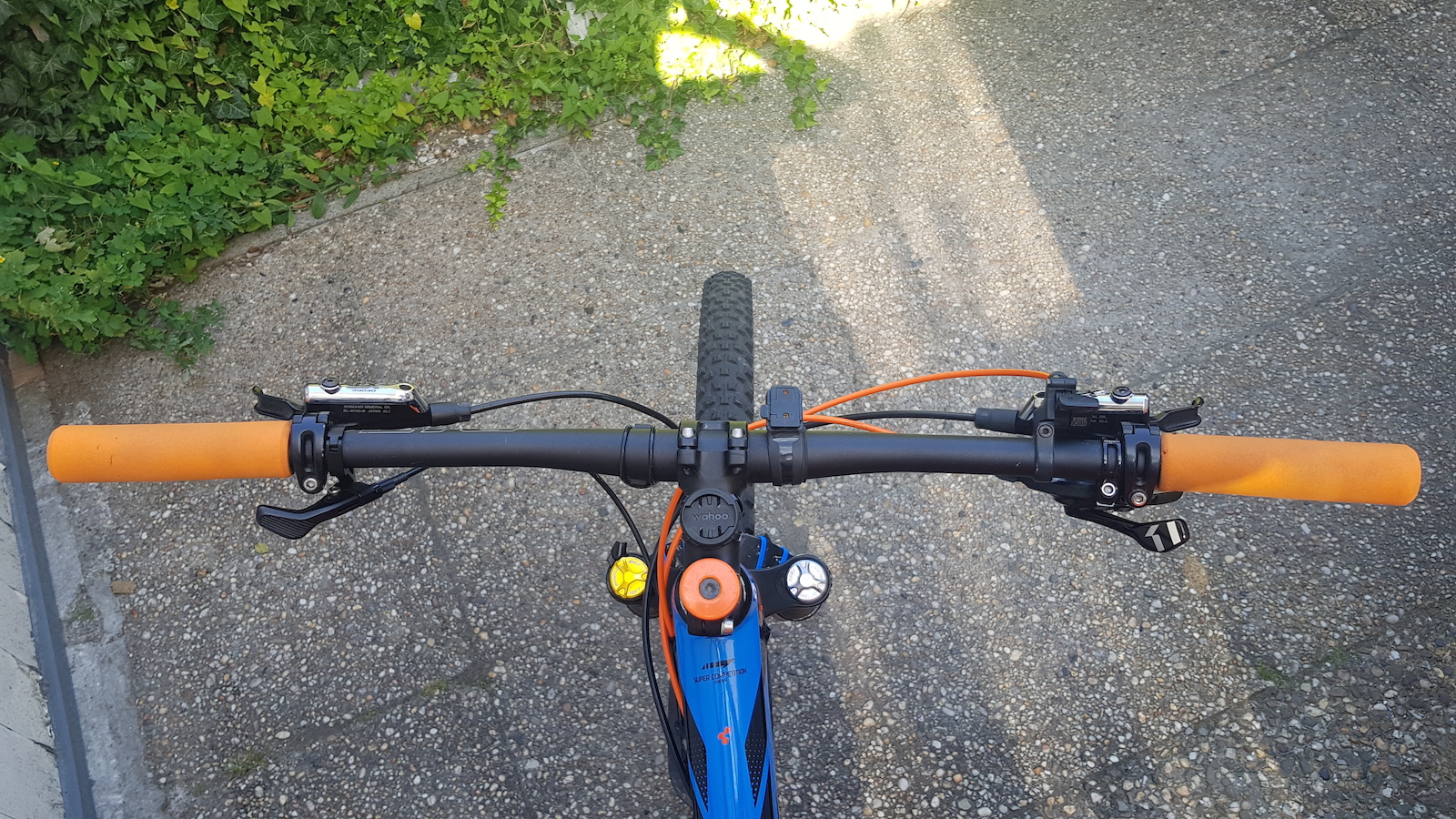 Afbeelding